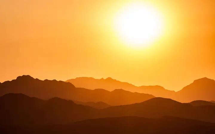 Vitamin D