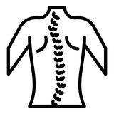 spinal