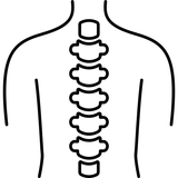 Wirbelsäule